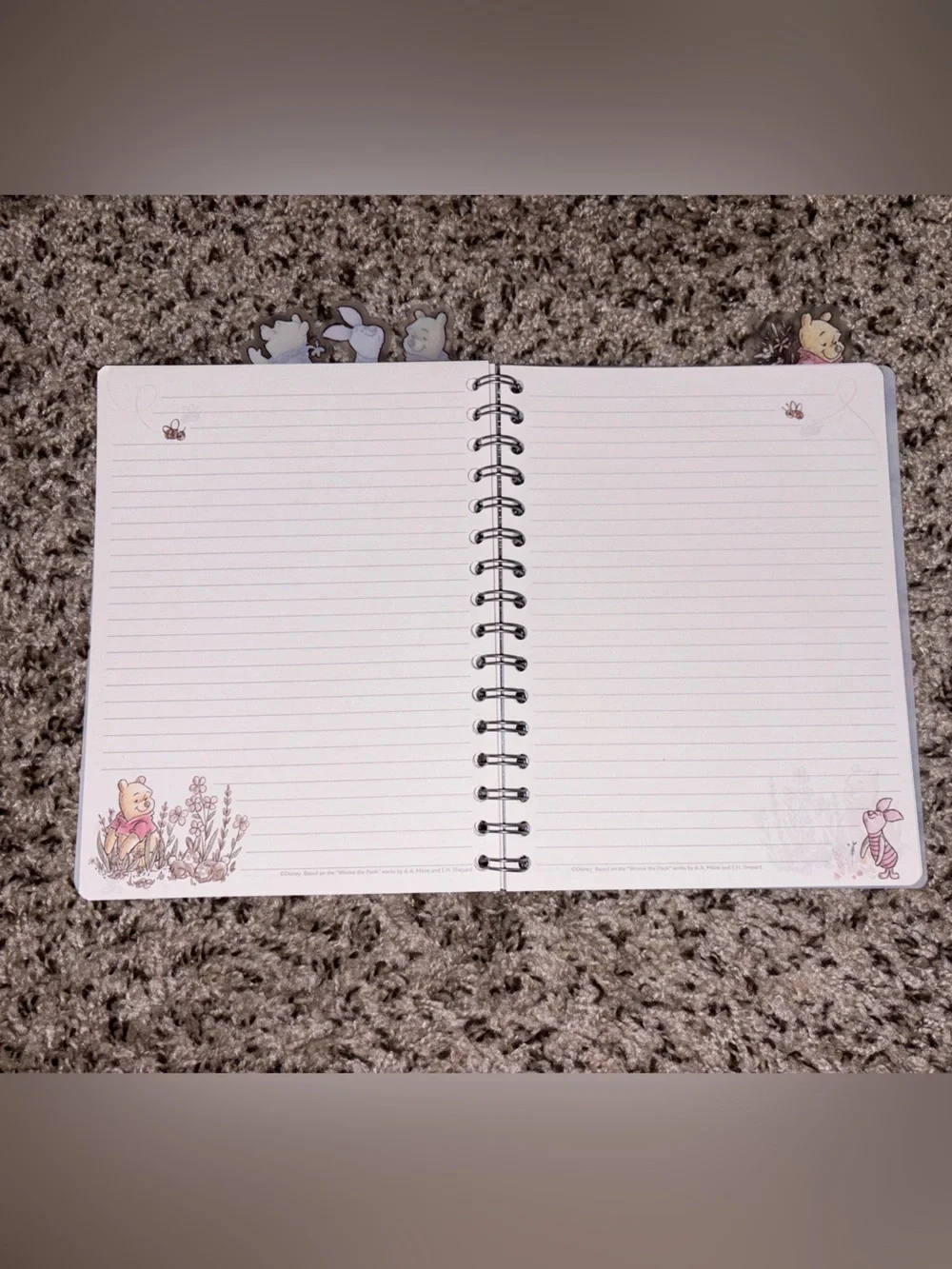 Winnie the Pooh Spiral Notebook